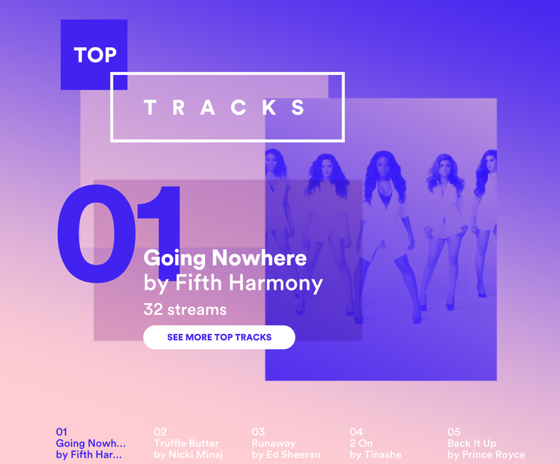 Illustration for article titled What's the Most Embarrassing Thing From Your Spotify Year in Music?